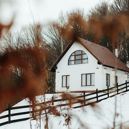 Casuta Boema Villa Rîşnov Dış mekan fotoğraf