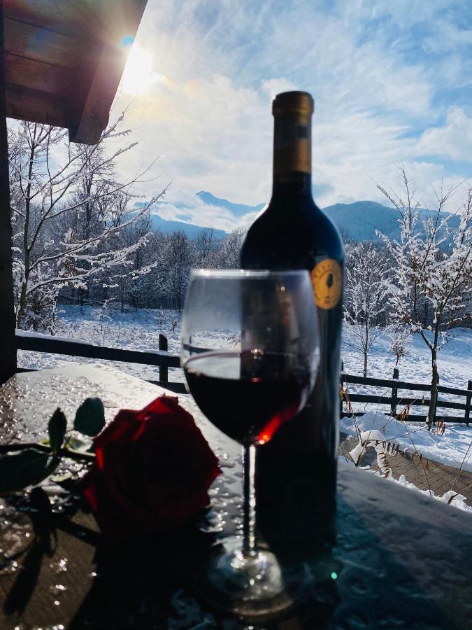 Casuta Boema Villa Rîşnov Dış mekan fotoğraf