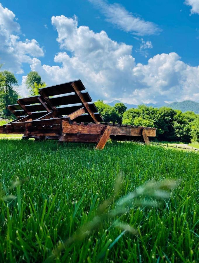 Casuta Boema Villa Rîşnov Dış mekan fotoğraf