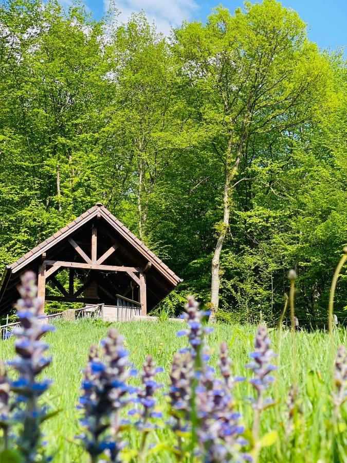 Casuta Boema Villa Rîşnov Dış mekan fotoğraf