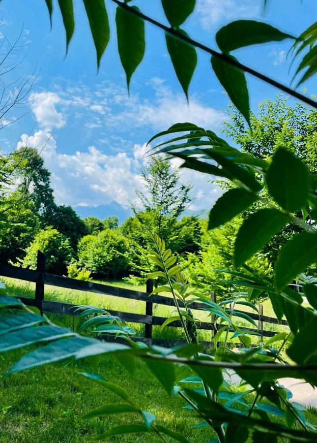 Casuta Boema Villa Rîşnov Dış mekan fotoğraf