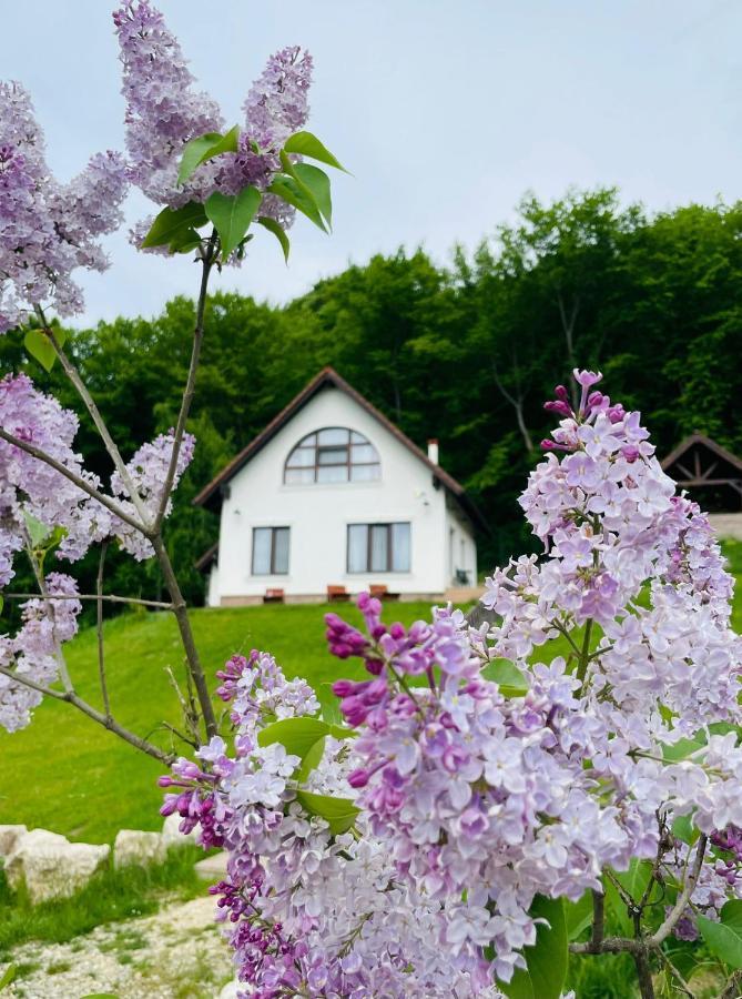 Casuta Boema Villa Rîşnov Dış mekan fotoğraf