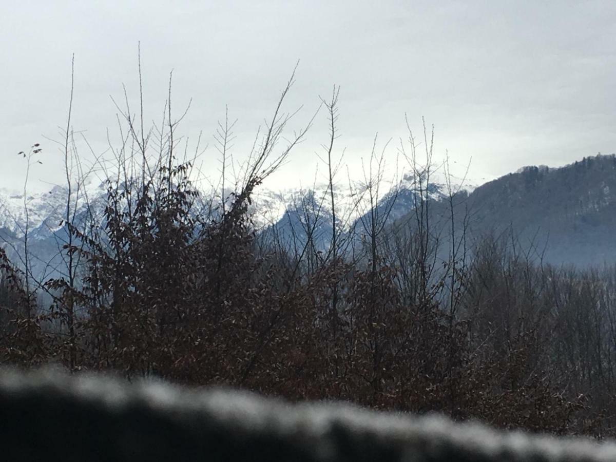 Casuta Boema Villa Rîşnov Dış mekan fotoğraf