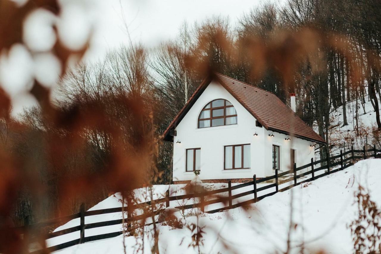Casuta Boema Villa Rîşnov Dış mekan fotoğraf