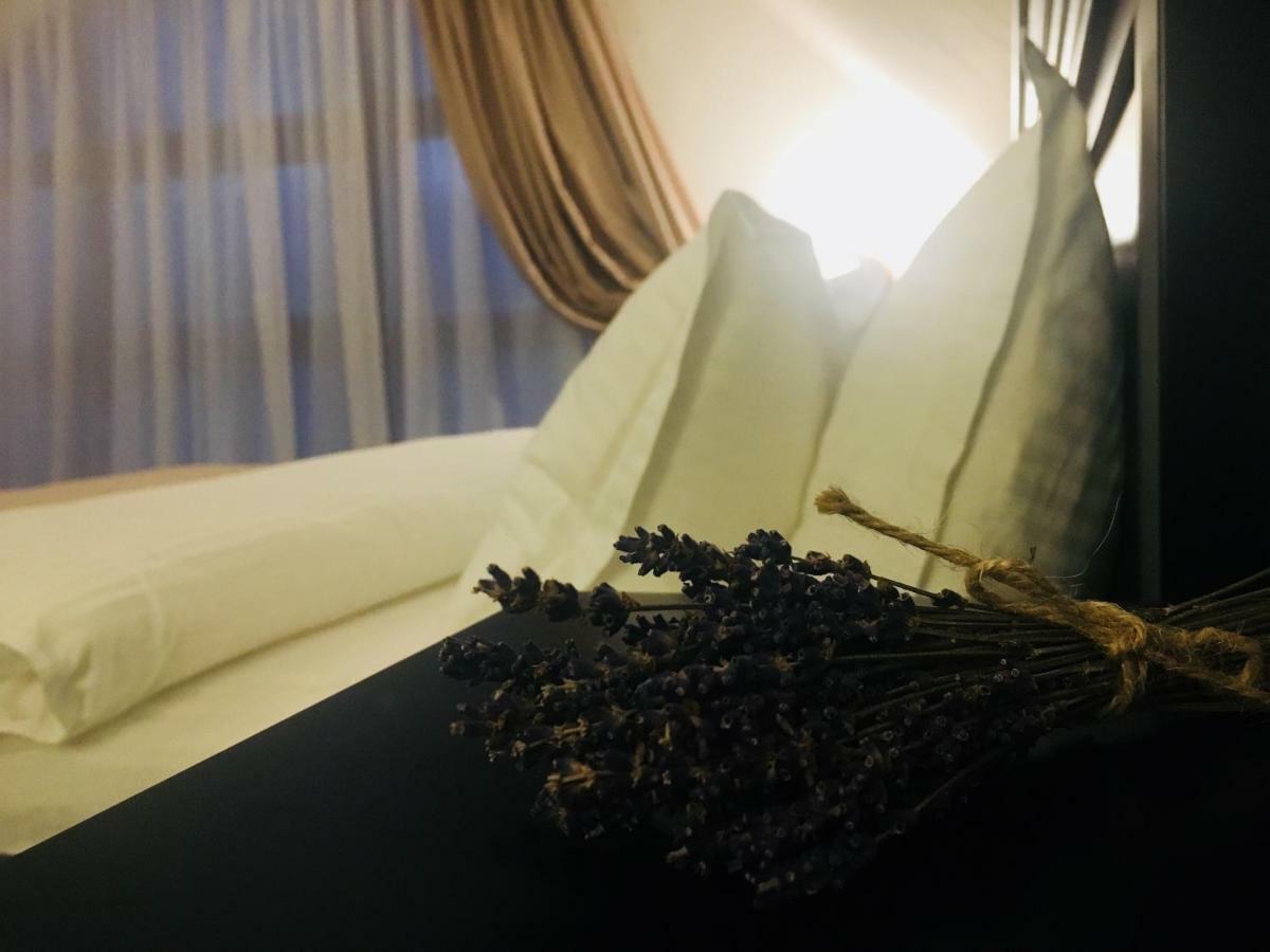 Casuta Boema Villa Rîşnov Dış mekan fotoğraf