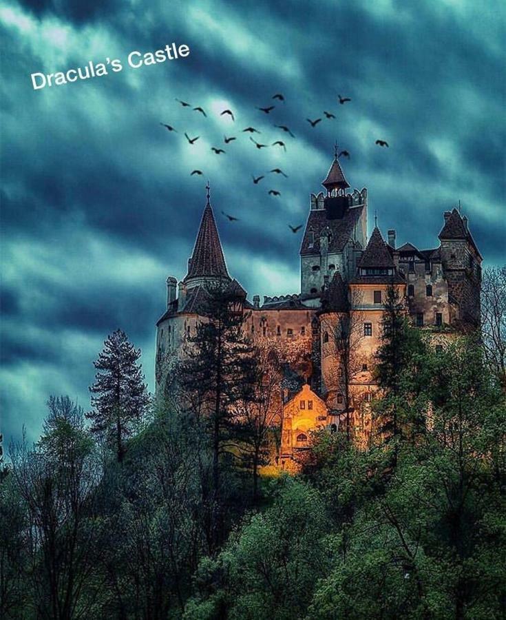Casuta Boema Villa Rîşnov Dış mekan fotoğraf